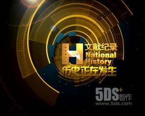 5DS 連接創(chuàng)意與技術(shù)的數(shù)字藝術(shù)領(lǐng)航者